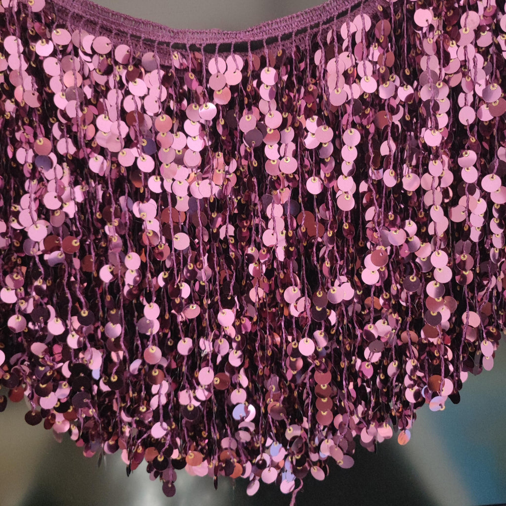 9 inch paillettenfranje: zilver, goud, paars, blauw, zwart, rood - 5 meter