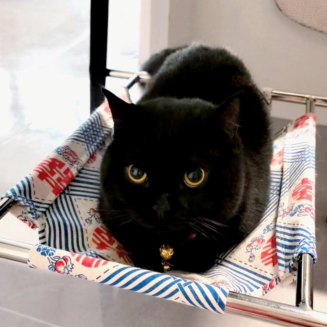 Hamac pour chat sur mesure pour chaise de cuisine : coton tissé à la main, gain de place