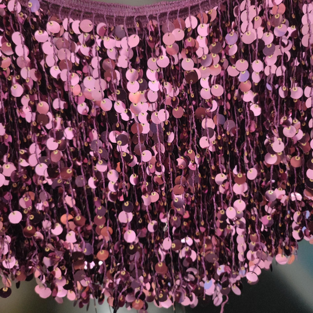 9 inch paillettenfranje: zilver, goud, paars, blauw, zwart, rood - 5 meter